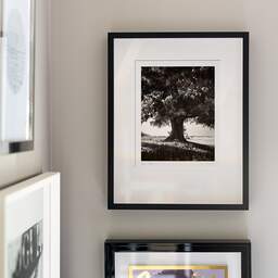 Art and collection photography Denis Olivier, Lime Tree, La Noraie, Luçay-le-Mâle, France. August 2021. Ref-11606 - Denis Olivier Art Photography, original fine-art photograph signed in limited edition in a black wooden frame with other images hung on the wall