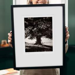 Art and collection photography Denis Olivier, Lime Tree, La Noraie, Luçay-le-Mâle, France. August 2021. Ref-11606 - Denis Olivier Art Photography, original 9 x 9 inches fine-art photograph print in limited edition and signed hold by a galerist woman