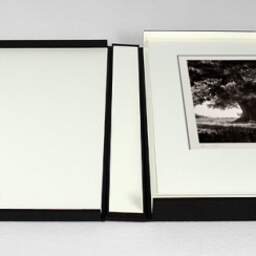 Art and collection photography Denis Olivier, Lime Tree, La Noraie, Luçay-le-Mâle, France. August 2021. Ref-11606 - Denis Olivier Photography, photograph with matte folding in a luxury book presentation box
