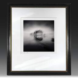 Art and collection photography Denis Olivier, Little Forest On An Island, Etude 2, Navarrosse, France. December 2020. Ref-1406 - Denis Olivier Photography, original fine-art photograph in limited edition and signed in black and gold wood frame