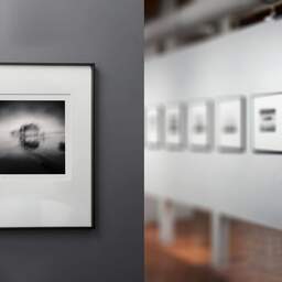 Art and collection photography Denis Olivier, Little Forest On An Island, Etude 2, Navarrosse, France. December 2020. Ref-1406 - Denis Olivier Photography, gallery exhibition with black frame