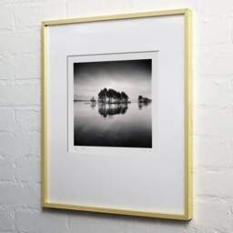 Art and collection photography Denis Olivier, Little Forest On An Island, Navarrosse, France. December 2020. Ref-1399 - Denis Olivier Art Photography, light wood frame on white wall