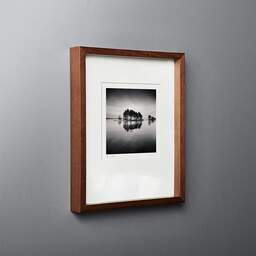 Art and collection photography Denis Olivier, Little Forest On An Island, Navarrosse, France. December 2020. Ref-1399 - Denis Olivier Photography, original fine-art photograph in limited edition and signed in dark wood frame