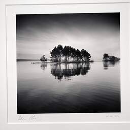 Art and collection photography Denis Olivier, Little Forest On An Island, Navarrosse, France. December 2020. Ref-1399 - Denis Olivier Photography, original photographic print in limited edition and signed, framed under cardboard mat
