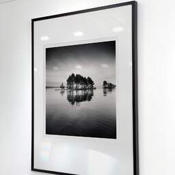 Art and collection photography Denis Olivier, Little Forest On An Island, Navarrosse, France. December 2020. Ref-1399 - Denis Olivier Art Photography, Exhibition of a large original photographic art print in limited edition and signed