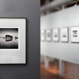 Art and collection photography Denis Olivier, Little Forest On An Island, Navarrosse, France. December 2020. Ref-1399 - Denis Olivier Art Photography, gallery exhibition with black frame