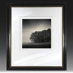 Art and collection photography Denis Olivier, Little Wood, Moirax, France. October 2007. Ref-1121 - Denis Olivier Photography, original fine-art photograph in limited edition and signed in black and gold wood frame
