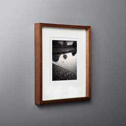 Art and collection photography Denis Olivier, Lone Duck, Royan, France. November 2021. Ref-11603 - Denis Olivier Art Photography, original fine-art photograph in limited edition and signed in dark wood frame