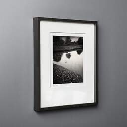 Art and collection photography Denis Olivier, Lone Duck, Royan, France. November 2021. Ref-11603 - Denis Olivier Photography, black wood frame on gray background