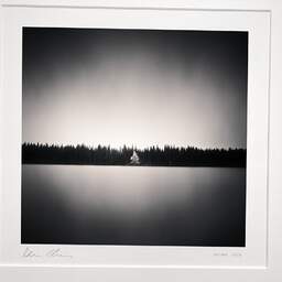 Art and collection photography Denis Olivier, Lonely Tree, Paradise Lake, North Quebec, Canada. October 2013. Ref-1286 - Denis Olivier Photography, original photographic print in limited edition and signed, framed under cardboard mat