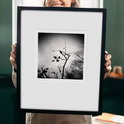 Art and collection photography Denis Olivier, Mistletoe Globes, Park Bordelais, Bordeaux, France. December 2020. Ref-1402 - Denis Olivier Photography, original 9 x 9 inches fine-art photograph print in limited edition and signed hold by a galerist woman