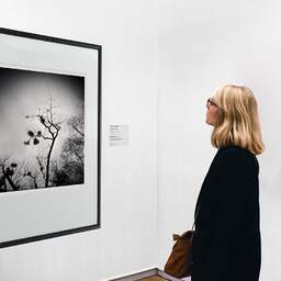 Art and collection photography Denis Olivier, Mistletoe Globes, Park Bordelais, Bordeaux, France. December 2020. Ref-1402 - Denis Olivier Art Photography, A woman contemplate a large original photographic art print in limited edition and signed in a black frame