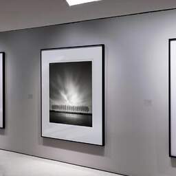 Art and collection photography Denis Olivier, Nineteen Trees, Kanaaldijk Oost, Utrecht, Netherlands. April 2015. Ref-11690 - Denis Olivier Art Photography, Exhibition of a large original photographic art print in limited edition and signed