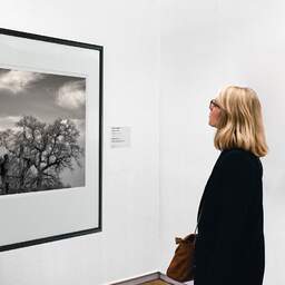 Art and collection photography Denis Olivier, Noon Tree, Bordeaux, France. March 2005. Ref-399 - Denis Olivier Art Photography, A woman contemplate a large original photographic art print in limited edition and signed in a black frame
