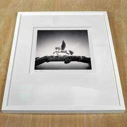 Art and collection photography Denis Olivier, Pegasus, Bordeaux, France. November 2021. Ref-11516 - Denis Olivier Photography, white frame on a wooden table