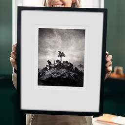 Art and collection photography Denis Olivier, Pine Tree, Ordesa Y Monte Perdido National Park, Spain. December 2021. Ref-11626 - Denis Olivier Art Photography, original 9 x 9 inches fine-art photograph print in limited edition and signed hold by a galerist woman