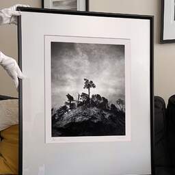 Art and collection photography Denis Olivier, Pine Tree, Ordesa Y Monte Perdido National Park, Spain. December 2021. Ref-11626 - Denis Olivier Art Photography, large original 9 x 9 inches fine-art photograph print in limited edition and signed hold by a galerist woman