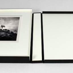 Art and collection photography Denis Olivier, Pine Tree, Ordesa Y Monte Perdido National Park, Spain. December 2021. Ref-11626 - Denis Olivier Photography, photograph with matte folding in a luxury book presentation box