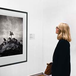 Art and collection photography Denis Olivier, Pine Tree, Ordesa Y Monte Perdido National Park, Spain. December 2021. Ref-11626 - Denis Olivier Art Photography, A woman contemplate a large original photographic art print in limited edition and signed in a black frame