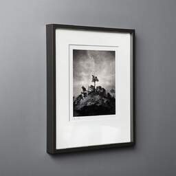 Art and collection photography Denis Olivier, Pine Tree, Ordesa Y Monte Perdido National Park, Spain. December 2021. Ref-11626 - Denis Olivier Art Photography, black wood frame on gray background