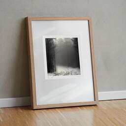 Art and collection photography Denis Olivier, Plateau De Vézoles, Riols, France. December 2003. Ref-472 - Denis Olivier Photography, original fine-art photograph in limited edition and signed in light wood frame