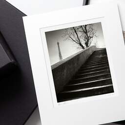 Art and collection photography Denis Olivier, Quay Stairs, Etude 1, Port Debilly, Paris, France. February 2023. Ref-11658 - Denis Olivier Photography, original photographic print in limited edition and signed, framed in acid free mat board