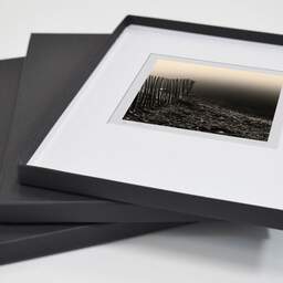 Art and collection photography Denis Olivier, Quiet Evening, Dorat Pond, Bègles, France. December 2005. Ref-851 - Denis Olivier Photography, original fine-art photograph in limited edition and signed in a folding and archival conservation box
