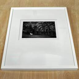 Art and collection photography Denis Olivier, Recycling Swan, Park, Bordeaux, France. September 2020. Ref-11515 - Denis Olivier Photography, white frame on a wooden table