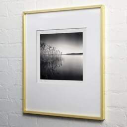 Art and collection photography Denis Olivier, Reeds, Etude 1, Carreyre, Lacanau Lake, France. January 2021. Ref-1421 - Denis Olivier Photography, light wood frame on white wall