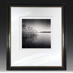 Art and collection photography Denis Olivier, Reeds, Etude 1, Carreyre, Lacanau Lake, France. January 2021. Ref-1421 - Denis Olivier Photography, original fine-art photograph in limited edition and signed in black and gold wood frame