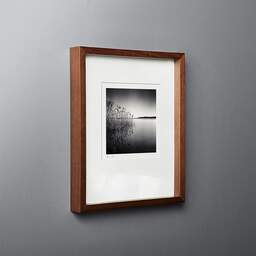 Art and collection photography Denis Olivier, Reeds, Etude 1, Carreyre, Lacanau Lake, France. January 2021. Ref-1421 - Denis Olivier Photography, original fine-art photograph in limited edition and signed in dark wood frame