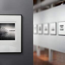 Art and collection photography Denis Olivier, Reeds, Etude 1, Carreyre, Lacanau Lake, France. January 2021. Ref-1421 - Denis Olivier Photography, gallery exhibition with black frame