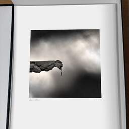 Art and collection photography Denis Olivier, Sacre-Coeur Gargoyle, Paris, France. February 2005. Ref-555 - Denis Olivier Photography, original photographic print in limited edition and signed, framed under cardboard mat