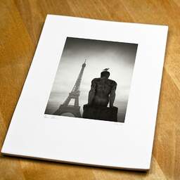 Art and collection photography Denis Olivier, Seagull Over The Man, Trocadéro Garden, Paris, France. February 2023. Ref-11656 - Denis Olivier Photography, original fine-art photograph print in limited edition and signed