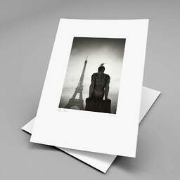 Art and collection photography Denis Olivier, Seagull Over The Man, Trocadéro Garden, Paris, France. February 2023. Ref-11656 - Denis Olivier Photography, original fine-art photograph print in limited edition and signed