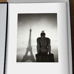 Art and collection photography Denis Olivier, Seagull Over The Man, Trocadéro Garden, Paris, France. February 2023. Ref-11656 - Denis Olivier Photography, original photographic print in limited edition and signed, framed under cardboard mat