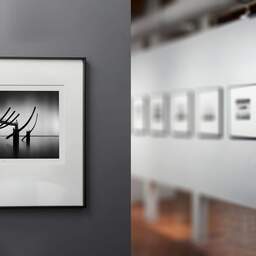 Art and collection photography Denis Olivier, Slavery Abolition Monument, Etude 2, Saint-Nazaire, France. August 2020. Ref-1355 - Denis Olivier Art Photography, gallery exhibition with black frame