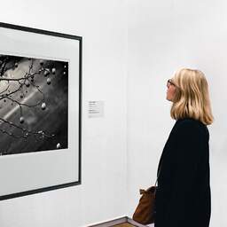 Art and collection photography Denis Olivier, Snow On Platanus Fruits, Charonne, Paris, France. February 2005. Ref-570 - Denis Olivier Art Photography, A woman contemplate a large original photographic art print in limited edition and signed in a black frame