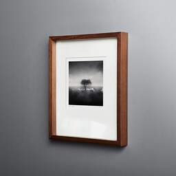 Art and collection photography Denis Olivier, Standing Tree, Bréca, Brière, France. June 2021. Ref-11498 - Denis Olivier Photography, original fine-art photograph in limited edition and signed in dark wood frame