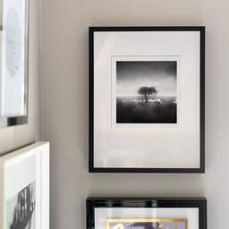 Art and collection photography Denis Olivier, Standing Tree, Bréca, Brière, France. June 2021. Ref-11498 - Denis Olivier Art Photography, original fine-art photograph signed in limited edition in a black wooden frame with other images hung on the wall
