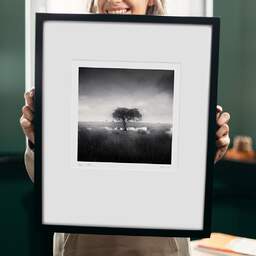 Art and collection photography Denis Olivier, Standing Tree, Bréca, Brière, France. June 2021. Ref-11498 - Denis Olivier Art Photography, original 9 x 9 inches fine-art photograph print in limited edition and signed hold by a galerist woman