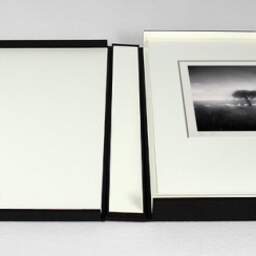 Art and collection photography Denis Olivier, Standing Tree, Bréca, Brière, France. June 2021. Ref-11498 - Denis Olivier Photography, photograph with matte folding in a luxury book presentation box