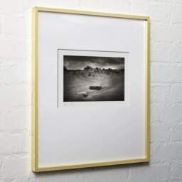 Art and collection photography Denis Olivier, Stranded Driftwoods, Pointe De La Coubre, France. June 2020. Ref-1347 - Denis Olivier Photography, light wood frame on white wall