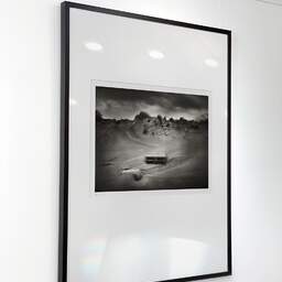 Art and collection photography Denis Olivier, Stranded Driftwoods, Pointe De La Coubre, France. June 2020. Ref-1347 - Denis Olivier Art Photography, Exhibition of a large original photographic art print in limited edition and signed