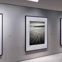 Art and collection photography Denis Olivier, Suzac Beach, Meschers-sur-Gironde, France. February 2023. Ref-11668 - Denis Olivier Photography, Exhibition of a large original photographic art print in limited edition and signed