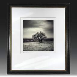 Art and collection photography Denis Olivier, Tamarix, Cassy Beach, France. June 2006. Ref-990 - Denis Olivier Photography, original fine-art photograph in limited edition and signed in black and gold wood frame