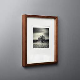 Art and collection photography Denis Olivier, Tamarix, Cassy Beach, France. June 2006. Ref-990 - Denis Olivier Art Photography, original fine-art photograph in limited edition and signed in dark wood frame
