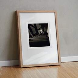Art and collection photography Denis Olivier, The Intruder, Etude 2, Bordeaux, France. December 2005. Ref-837 - Denis Olivier Photography, original fine-art photograph in limited edition and signed in light wood frame
