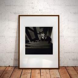 Art and collection photography Denis Olivier, The Intruder, Etude 2, Bordeaux, France. December 2005. Ref-837 - Denis Olivier Art Photography, Large original photographic art print in limited edition and signed framed in an brown wood frame