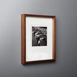 Art and collection photography Denis Olivier, They Died In Autumn, Canéjan, France. November 2005. Ref-830 - Denis Olivier Photography, original fine-art photograph in limited edition and signed in dark wood frame